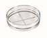 Browne Canada Foodservice Bakeware Each Browne 574142 (S9912) 12" SS Rim Sieve (16 Mesh)