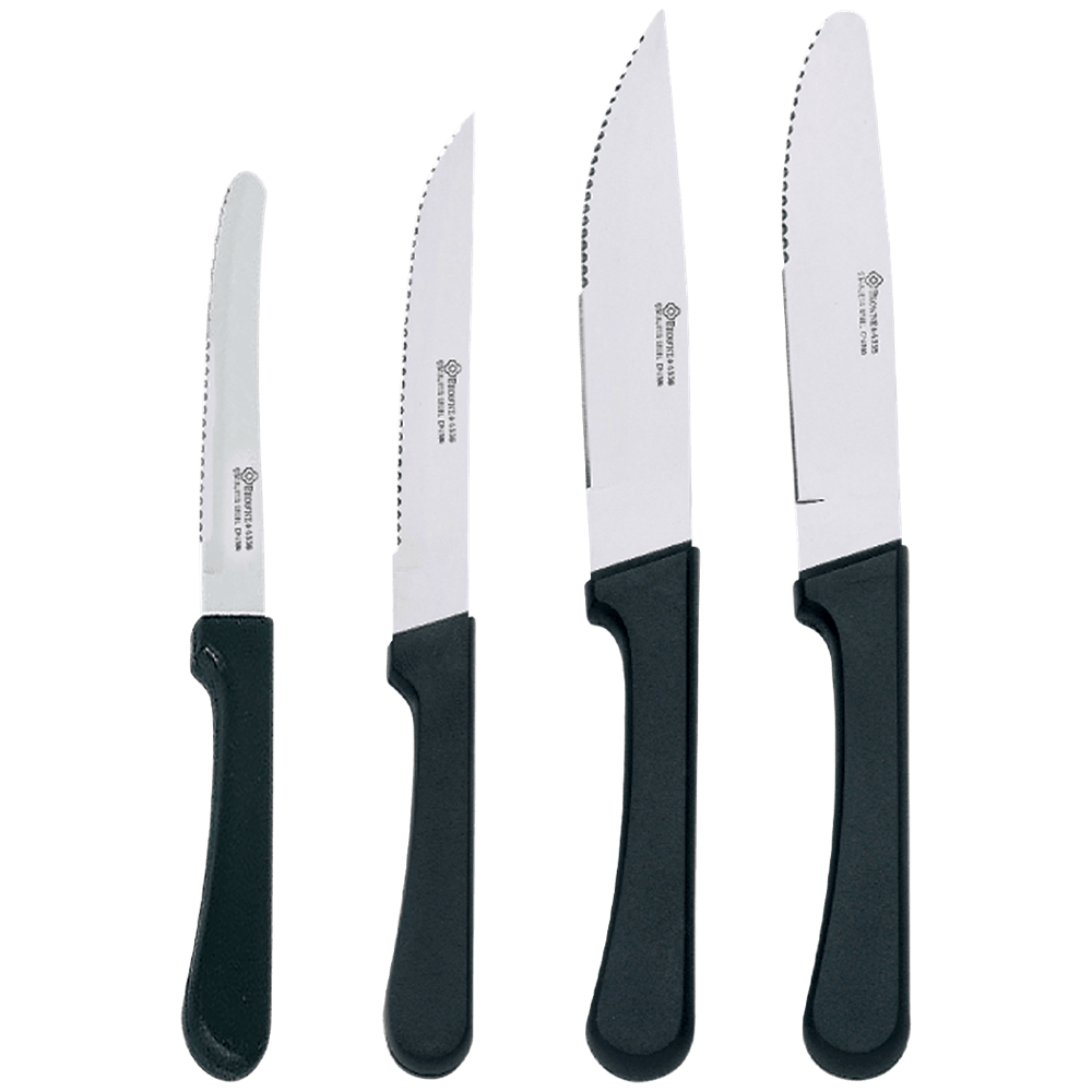 Browne Canada Foodservice Flatware & Steak Knives Each Browne 574335 Stainless Steel Steak Knife with Plastic Handle and Rounded Blade | Denson CFE