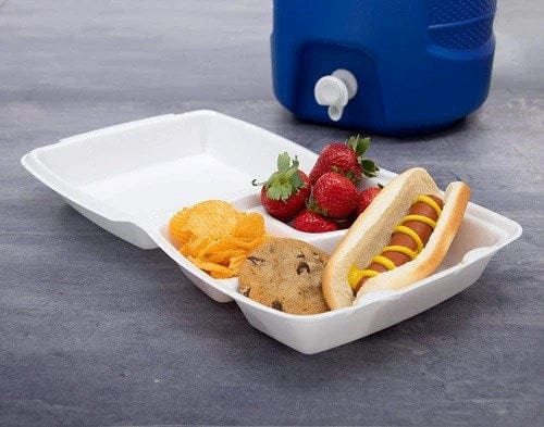 Denson CFE Essentials Case 3 Comp Foam Hinged 8"x 8"x 3"Containers 250 Pcs