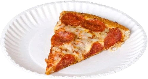 Denson CFE Essentials Case Disposable White Uncoated Paper Plates 9" 1200 Pcs