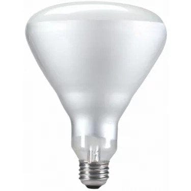 Eecol Electric Food Holding & Warming Each 250BR40/IR/CL/120 - 250W BR40 Incandescent Safety Coated, Infrared | Denson CFE