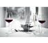 Steelite International Canada Limited Drinkware Dozen Steelite International 49105Q770 Champagne Flute 9-3/8 Oz. | Denson CFE