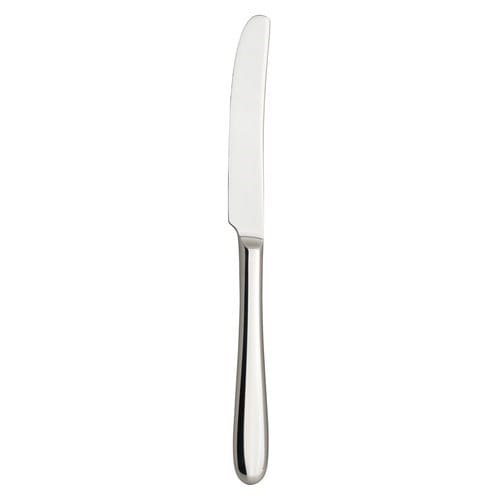 Steelite International Canada Limited Unclassified Dozen Steelite 6024SX042 Dinner Knife - 9-3/4 in, 13/0 Stainless Steel | Denson CFE