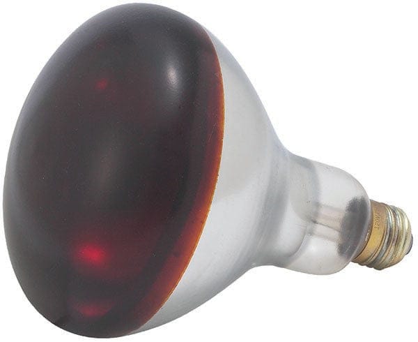 Winco Countertop Equipment Each / Red Winco EHL-BR Heat Lamp Bulb 250 Watt Red | Denson CFE