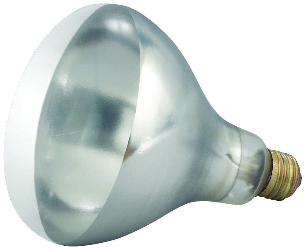 Winco Countertop Equipment Each Winco EHL-BW Bulb for EHL-2 White 250 Watt Heat Lamp Bulb | Denson CFE